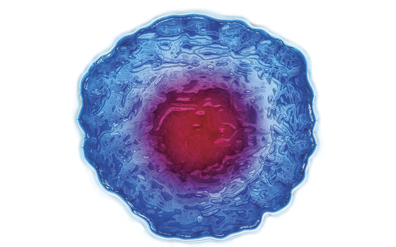 Photo: Science photolibrary Waging war against disease