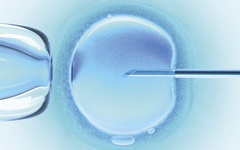 Embryo: iStock Embryo: iStock