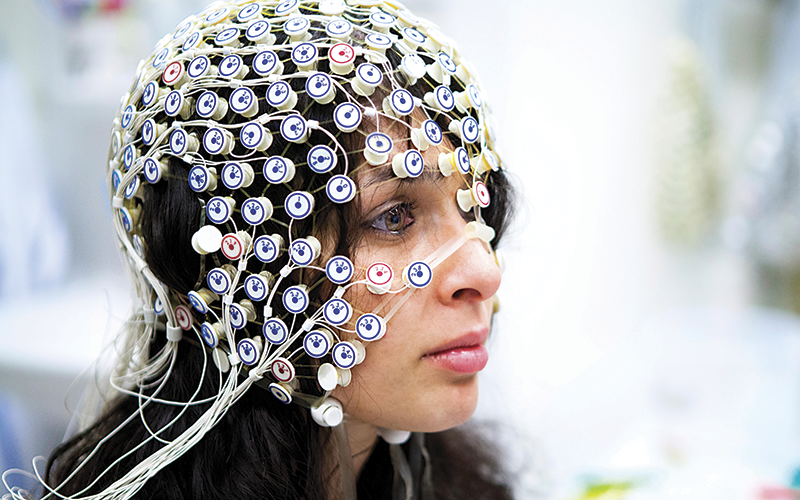 Brain study Brain study