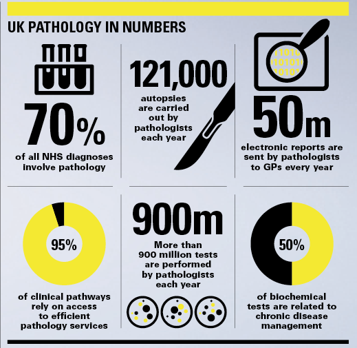 UK pathology in numbers UK pathology in numbers