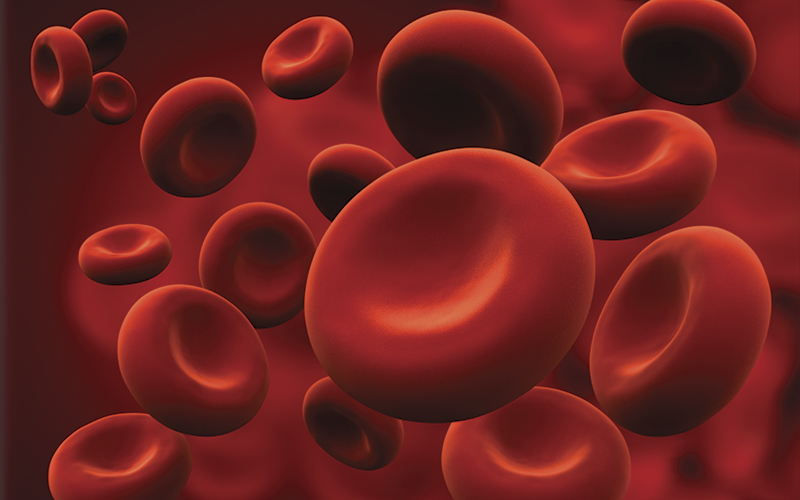 Red-blood-cells-_iStock-182860171 Red-blood-cells-_iStock-182860171