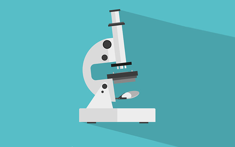 Under the microscope: Shutterstock Under the microscope: Shutterstock