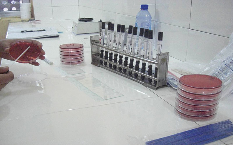 Culturing swabs