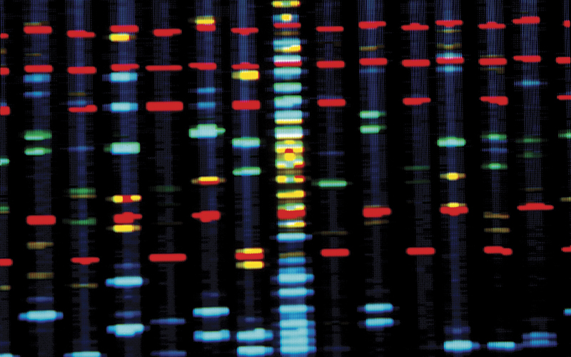 Genomes DNA sequence