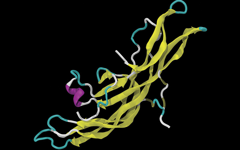 Tumor Markers Human Chorionic Gonadotropin Molecule Science Photo