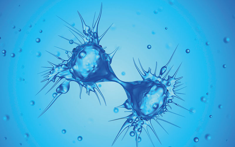 p16-17-one-to-one-opinion-dividing-cancer-cells-science-photo-library-f0236583.jpg