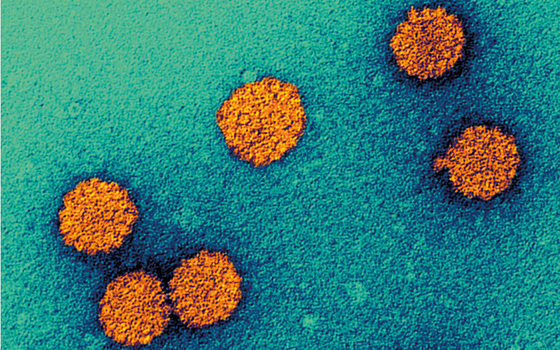p8-11-news-human-papillomavirus-particles-science-photo-library-c0074047.jpg