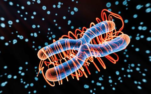 Disease X new genetics modification-Image credit - iStock-1943097631