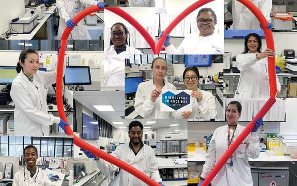 best group photo with placard(s) - haematology-team