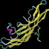Tumor Markers Human Chorionic Gonadotropin Molecule Science Photo