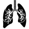 p8-13-lungs-istock-166011791-.jpg