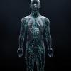 Immune system defends the body against infections and diseases-Credit-istock-1215808904