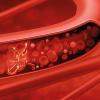 red blood cells CREDIT-iStock-1227353965