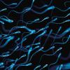 medically accurate illustration of human sperms-Image Credit | Science Photo Library - 319477082