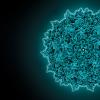 adeno associated virus capsid-Image Credit | Science Photo Library - c0142837