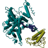 NOVEL PROTEIN CONJUGATE THERAPY - CREDIT-Supplied