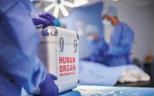 organ transplant surgery. CREDIT-iStock-1439788224