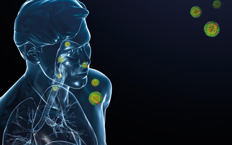Viral respiratory infection, illustration-CREDIT-science photo library C0553686