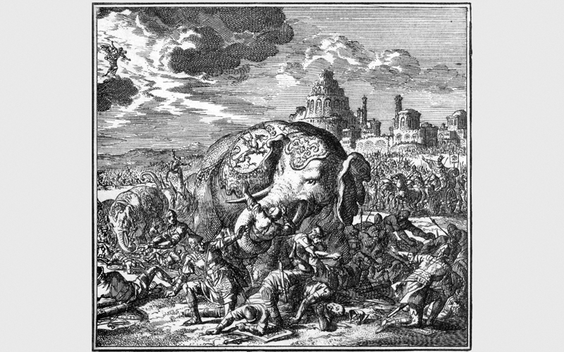 angels and elephants of ptolemy philopator.CREDIT-alamy