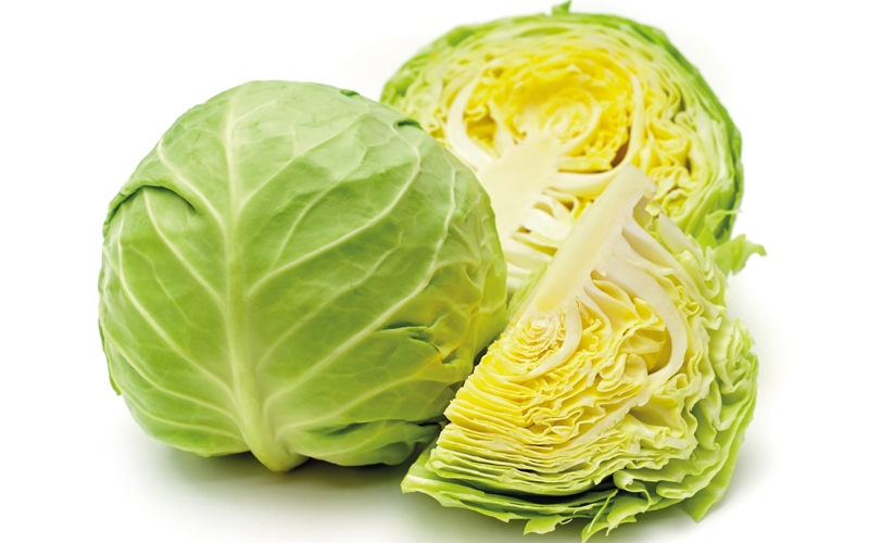 cabbage-CREDIT_shutterstock-571780078