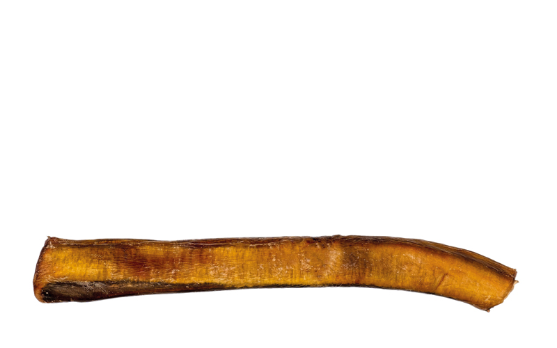 dried beef pizzles_CREDIT_shutterstock-2193891613