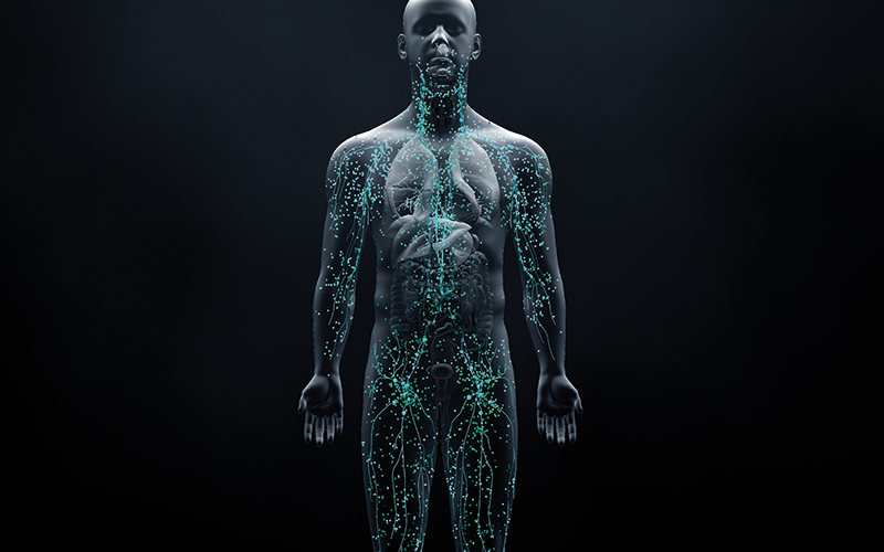 Immune system defends the body against infections and diseases-Credit-istock-1215808904
