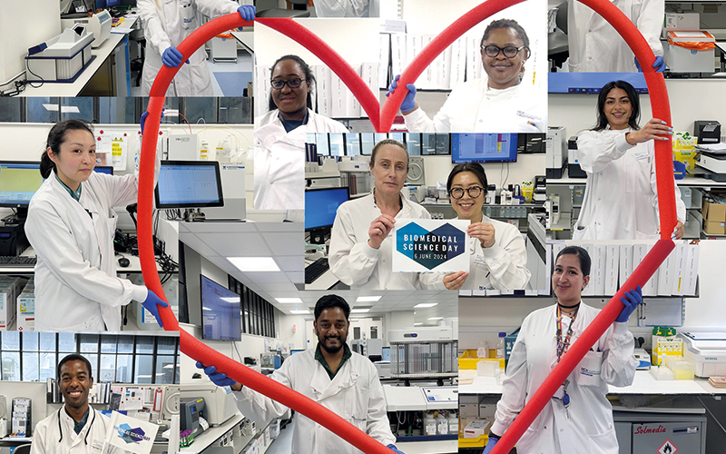 best group photo with placard(s) - haematology-team