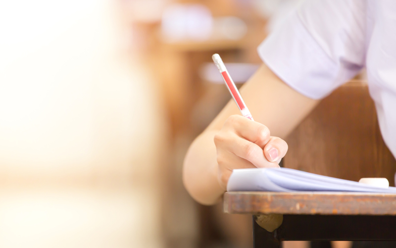 student studying-CREDIT-shutterstock-717727117