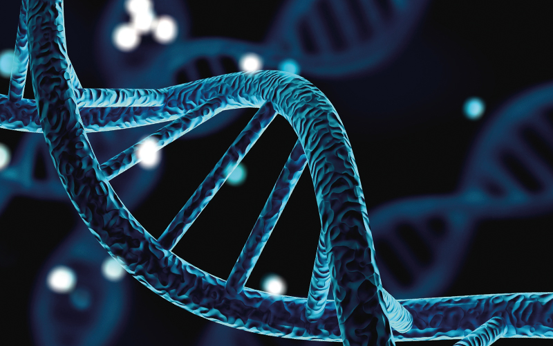 Blue helix human DNA structure-Image credit-shutterstock-1669326868