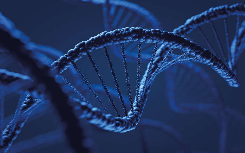 dna-CREDIT-iStock-1343372406